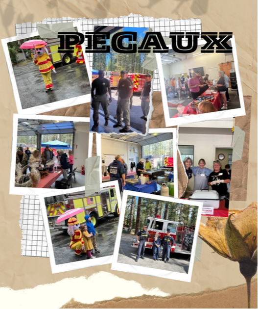 Collage of PECAUX pictures